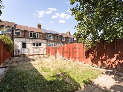 Picture 20